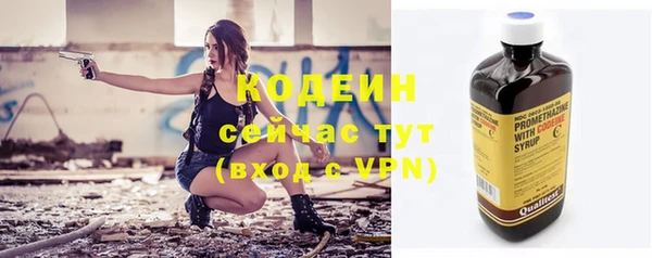 сатива Новосибирск