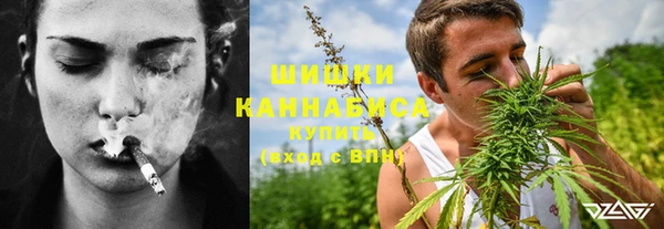 сатива Новосибирск