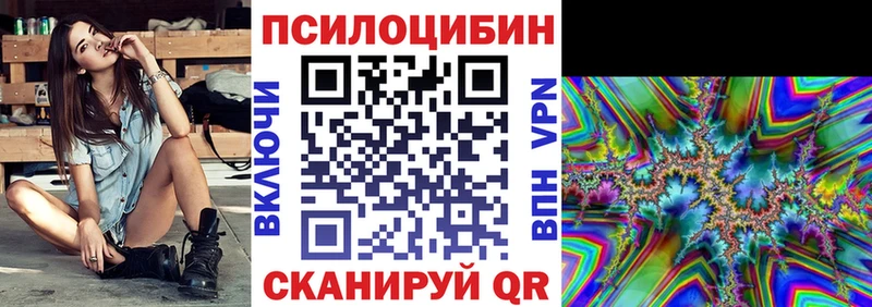 Псилоцибиновые грибы Magic Shrooms  Купить закладки  Судогда 